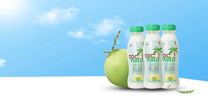 Coconato: Pollachi Natural Tender Packaged Coconut Water
