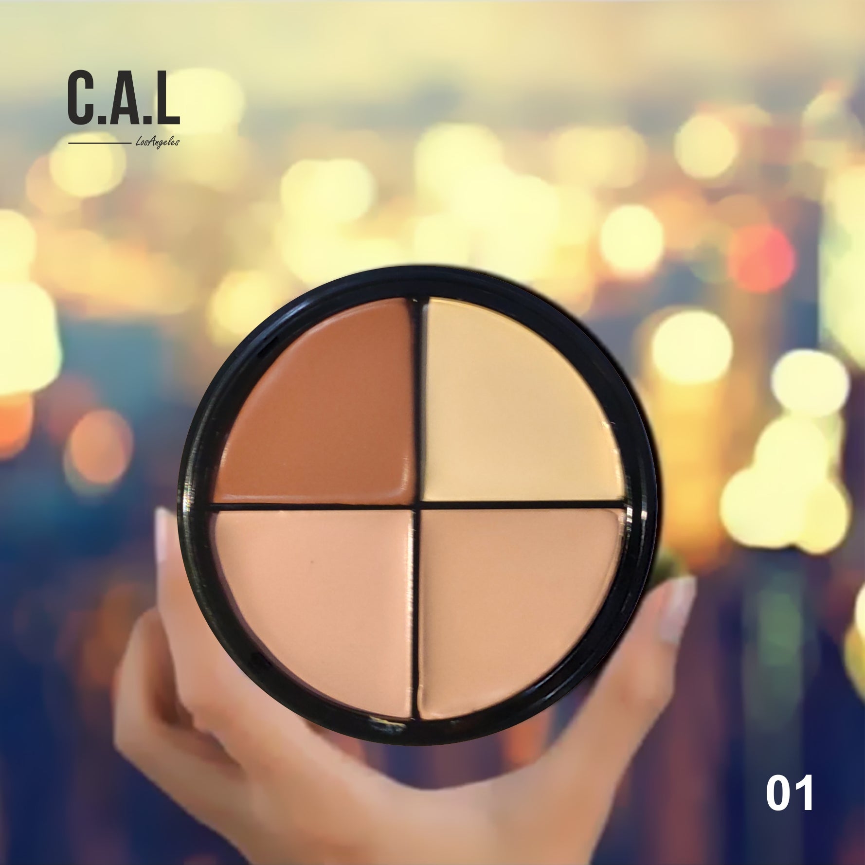 CAL Losangeles Chiselled Corrective Contour-Concealer Wheel 1