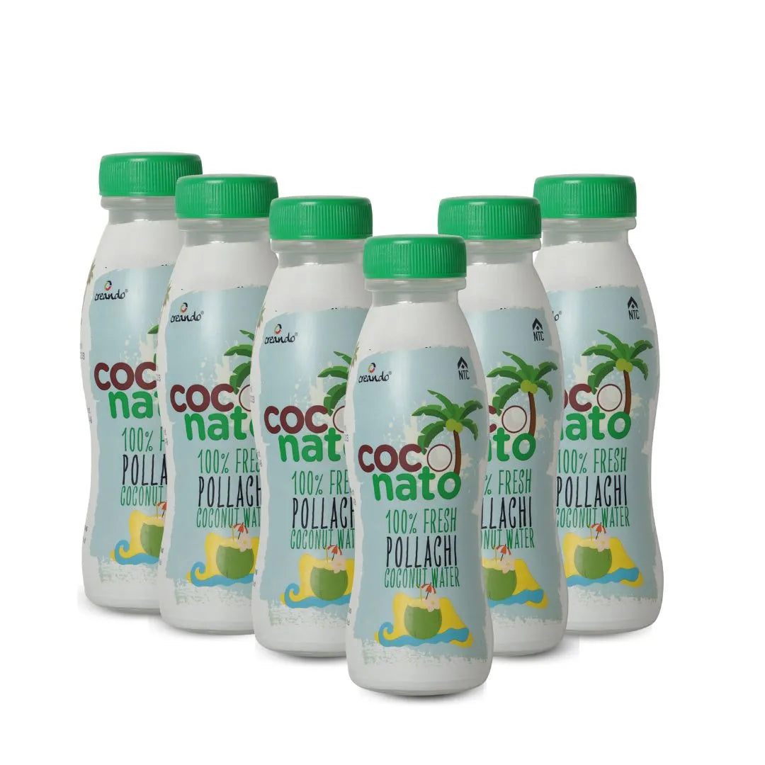 Coconato (Pack of 6)